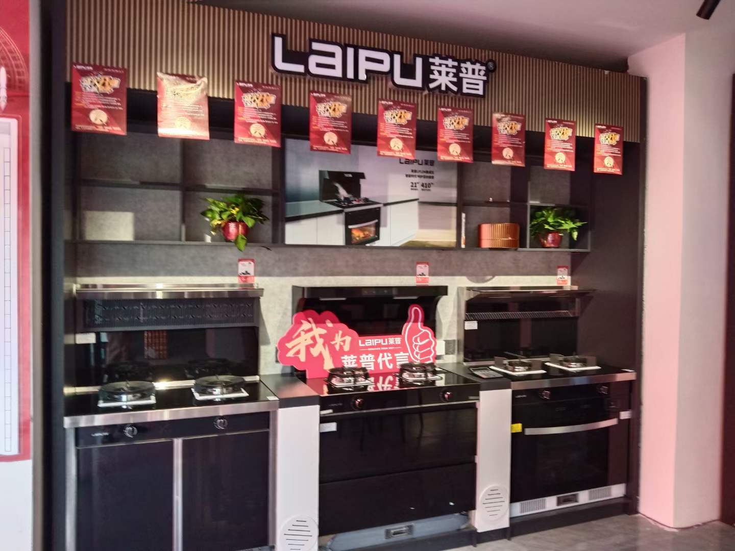 快猫视频在线观看快猫视频网站舒心烹饪，百味人生，爱在快猫视频污！