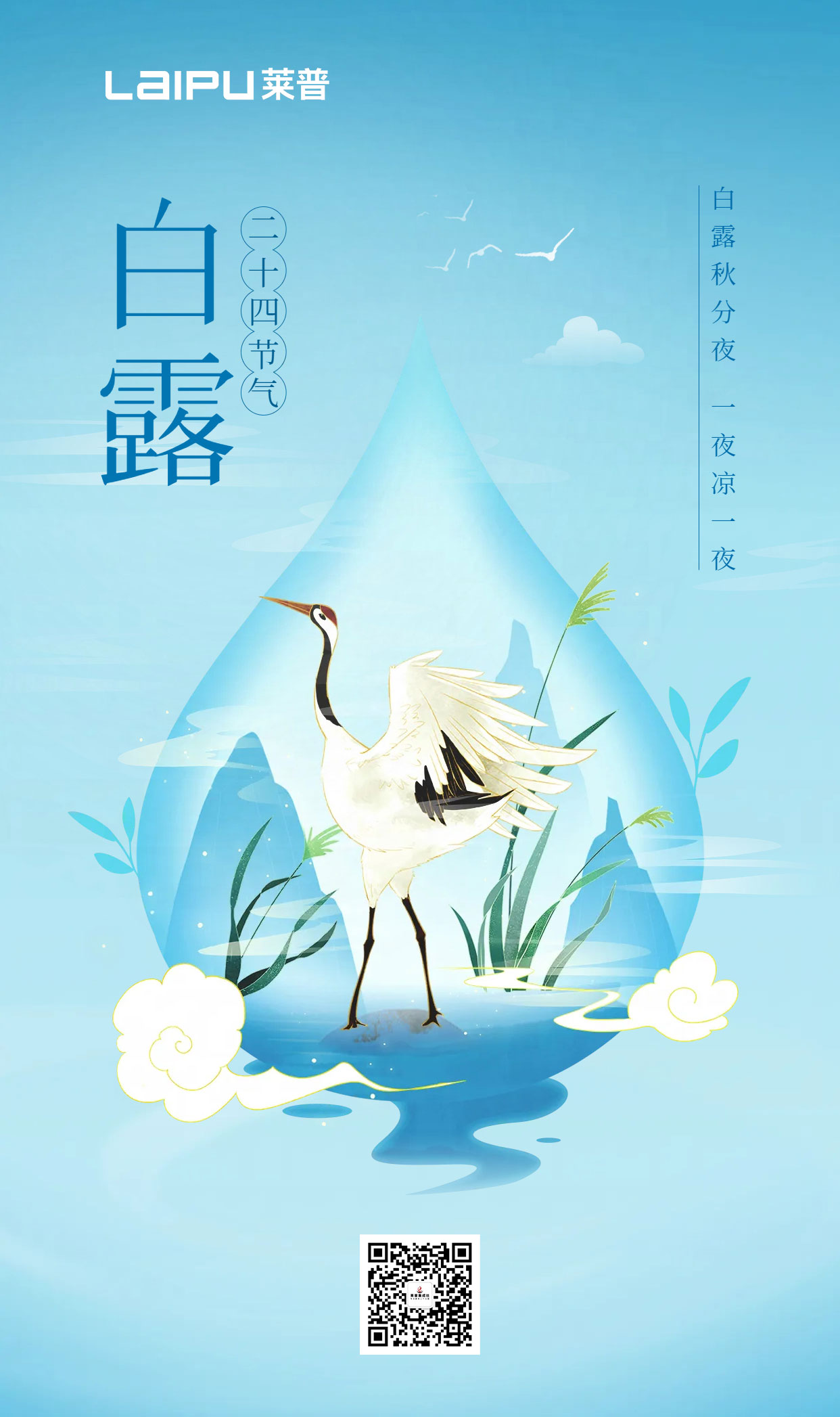 白露为霜，仲秋微凉