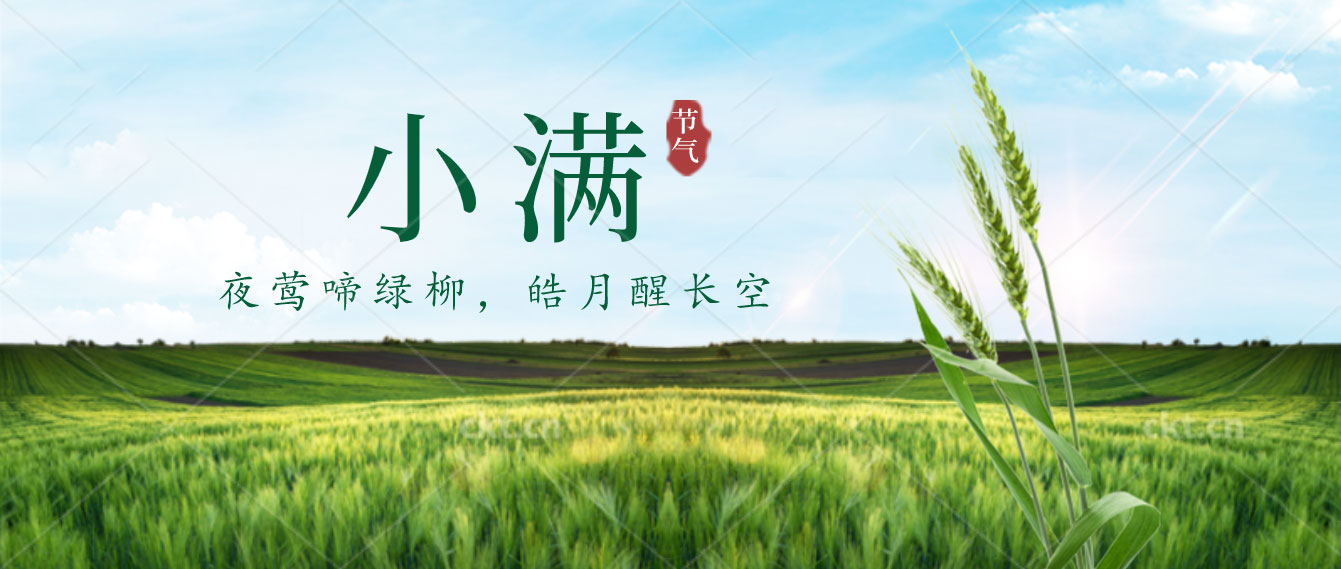 小满已至，小得盈满